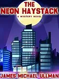E-Book (epub) The Neon Haystack von James Michael Ullman