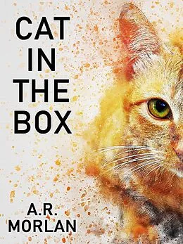 E-Book (epub) Cat in the Box von A. R. Morlan