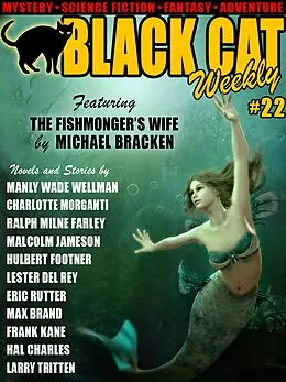 E-Book (epub) Black Cat Weekly #22 von Wildside Press