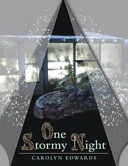E-Book (epub) One Stormy Night von Carolyn Edwards