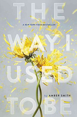 Livre Relié The Way I Used to Be de Amber Smith