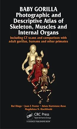 E-Book (pdf) Baby Gorilla von Rui Diogo, Juan F. Pastor, Adam Hartstone-Rose