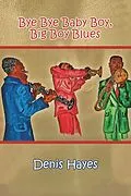 E-Book (epub) Bye Bye Baby Boy, Big Boy Blues von Denis Hayes