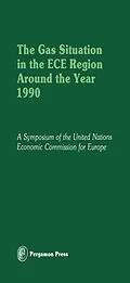 E-Book (pdf) The Gas Situation in the ECE Region Around the Year 1990 von Sam Stuart