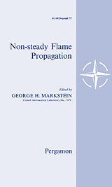 eBook (pdf) Nonsteady Flame Propagation de 