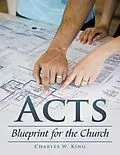 E-Book (epub) Acts von Charles W. King