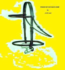 E-Book (epub) Finding My Way Back Home von J. I. M. Lord