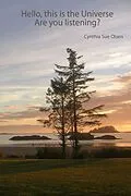 E-Book (epub) Hello. This is the Universe. von Cynthia Sue Olsen