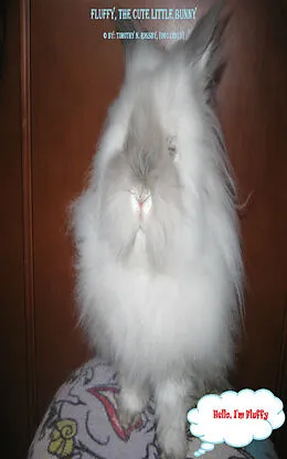 E-Book (epub) Fluffy, The Cute Little Bunny von Timothy N. Rigsby