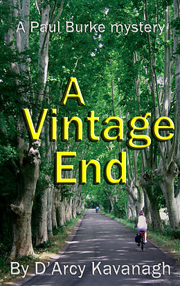 E-Book (epub) Vintage End von D'arcy Kavanagh