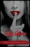 E-Book (epub) Sinful Confessions von Joe Carroll