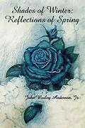 E-Book (epub) Shades of Winter von John Wesley Anderson Jr.