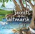 E-Book (epub) Secrets of the Saltmarsh von Claire Saxby