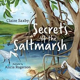 E-Book (epub) Secrets of the Saltmarsh von Claire Saxby
