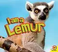 PDF Lemur von Aaron Carr