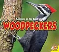 E-Book (pdf) Woodpeckers von Aaron Carr