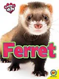 E-Book (pdf) Ferret von Lynn Hamilton