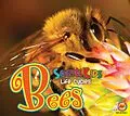 E-Book (pdf) Bees von Katie Gillespie
