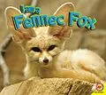 E-Book (pdf) Fennec Fox von Jared Siemens