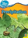 E-Book (pdf) Precipitation von Frances Purslow