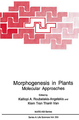 Kartonierter Einband Morphogenesis in Plants von 