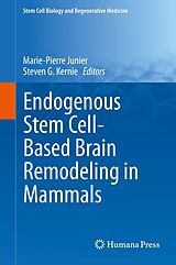 eBook (pdf) Endogenous Stem Cell-Based Brain Remodeling in Mammals de Marie-Pierre Junier, Steven G. Kernie