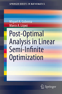 Kartonierter Einband Post-Optimal Analysis in Linear Semi-Infinite Optimization von Marco A. López, Miguel A. Goberna