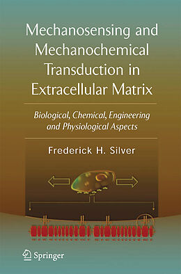 Kartonierter Einband Mechanosensing and Mechanochemical Transduction in Extracellular Matrix von Frederick H. Silver