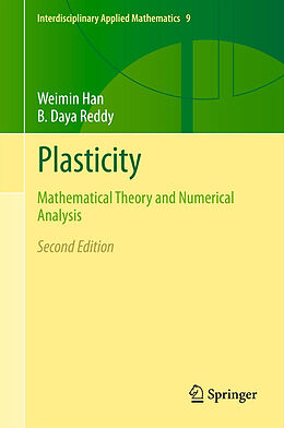 Kartonierter Einband Plasticity von B. Daya Reddy, Weimin Han