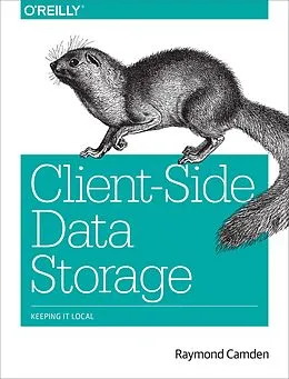 E-Book (pdf) Client-Side Data Storage von Raymond Camden