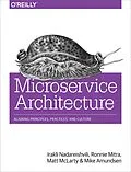 PDF Microservice Architecture von Irakli Nadareishvili, Ronnie Mitra, Matt Mclarty