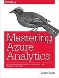 PDF Mastering Azure Analytics von Zoiner Tejada