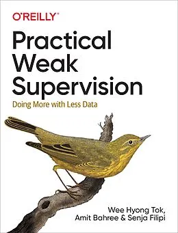 E-Book (epub) Practical Weak Supervision von Wee Hyong Tok, Amit Bahree, Senja Filipi
