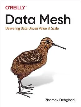 E-Book (epub) Data Mesh von Zhamak Dehghani