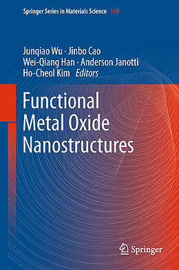 Kartonierter Einband Functional Metal Oxide Nanostructures von 