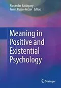 E-Book (pdf) Meaning in Positive and Existential Psychology von Alexander Batthyany, Pninit Russo-Netzer
