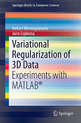 E-Book (pdf) Variational Regularization of 3D Data von Hebert Montegranario, Jairo Espinosa