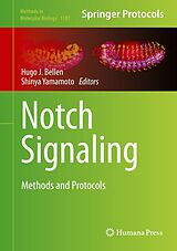 E-Book (pdf) Notch Signaling von 