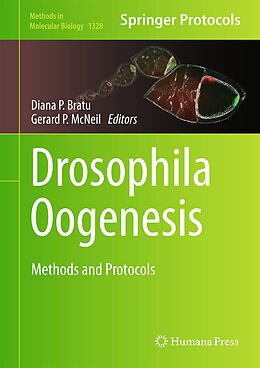 Fester Einband Drosophila Oogenesis von 