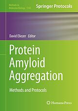 E-Book (pdf) Protein Amyloid Aggregation von 