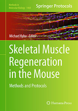 Fester Einband Skeletal Muscle Regeneration in the Mouse von 
