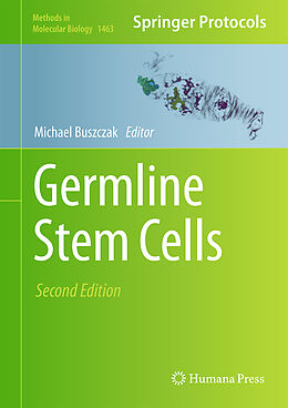 Fester Einband Germline Stem Cells von 