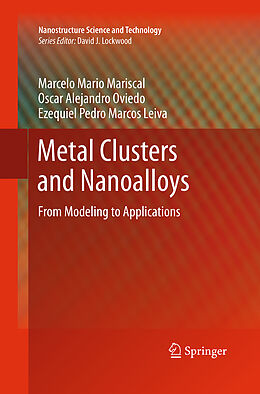 Kartonierter Einband Metal Clusters and Nanoalloys von Marcelo Mario Mariscal, Ezequiel Pedro Marcos Leiva, Oscar Alejandro Oviedo