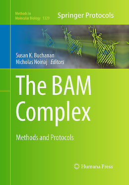 Kartonierter Einband The BAM Complex von 