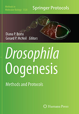 Kartonierter Einband Drosophila Oogenesis von 