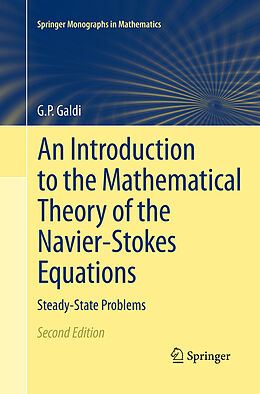 Couverture cartonnée An Introduction to the Mathematical Theory of the Navier-Stokes Equations de Giovanni Galdi