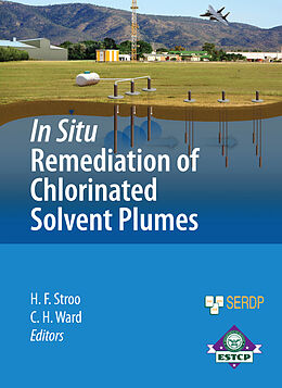 Kartonierter Einband In Situ Remediation of Chlorinated Solvent Plumes von 
