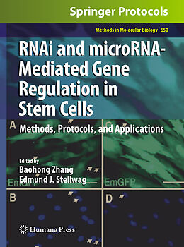 Kartonierter Einband RNAi and microRNA-Mediated Gene Regulation in Stem Cells von 