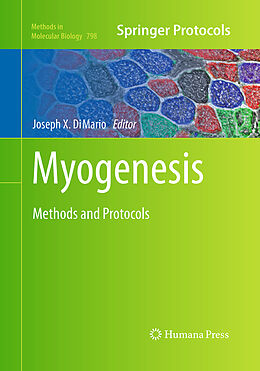 Kartonierter Einband Myogenesis von 