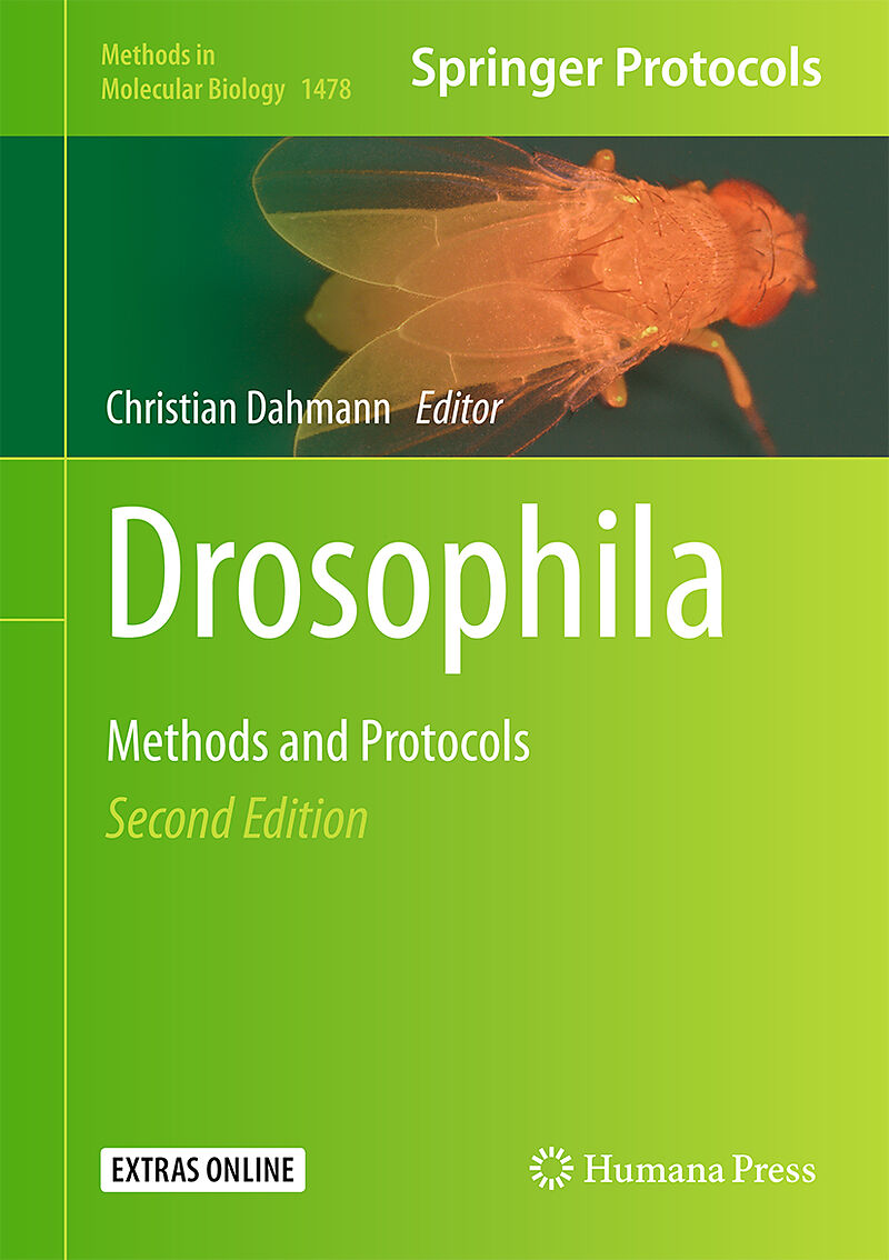 Drosophila